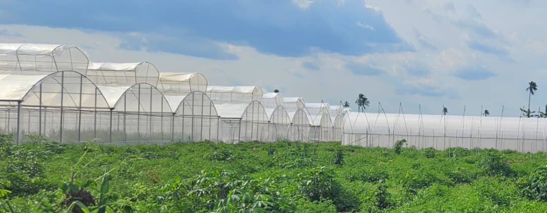 New Smart Farms